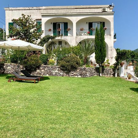 Villa Vincenzo Di Meglio 巴拉诺迪斯基亚 外观 照片