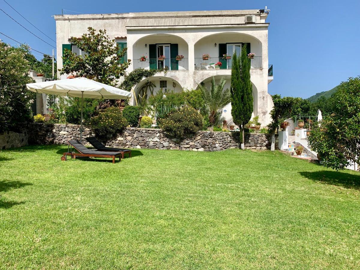 Villa Vincenzo Di Meglio 巴拉诺迪斯基亚 外观 照片