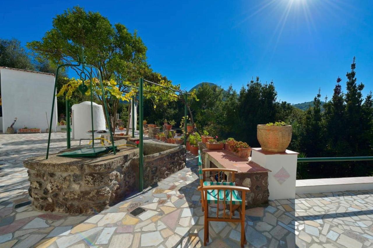 Villa Vincenzo Di Meglio 巴拉诺迪斯基亚 外观 照片