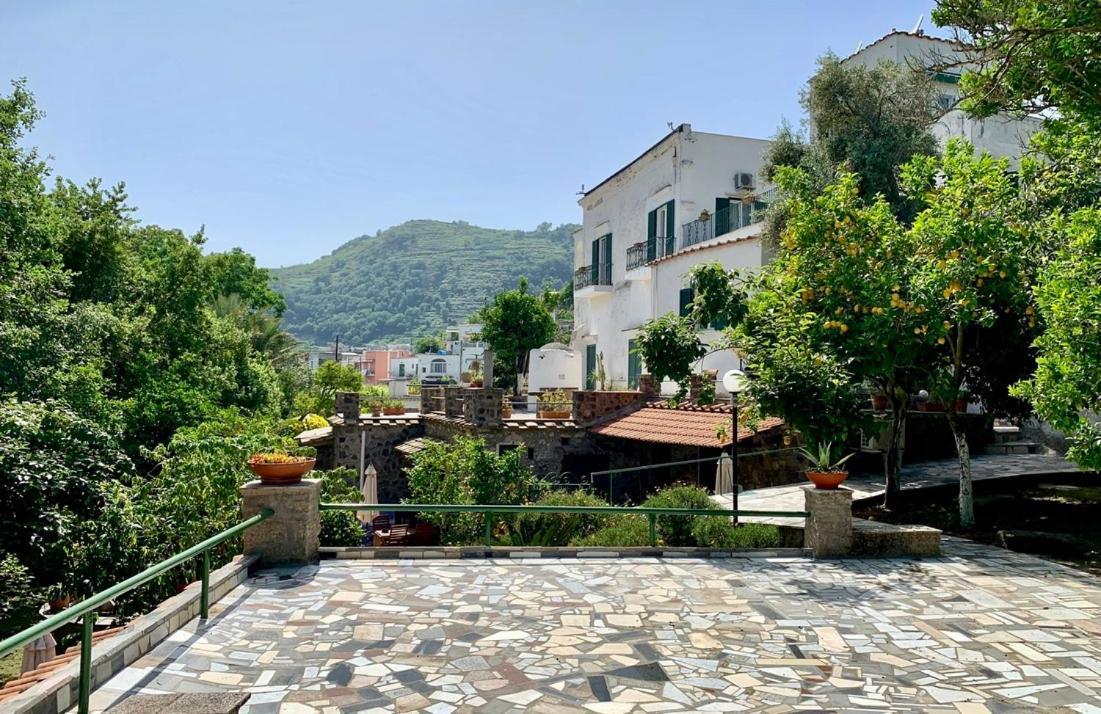 Villa Vincenzo Di Meglio 巴拉诺迪斯基亚 外观 照片