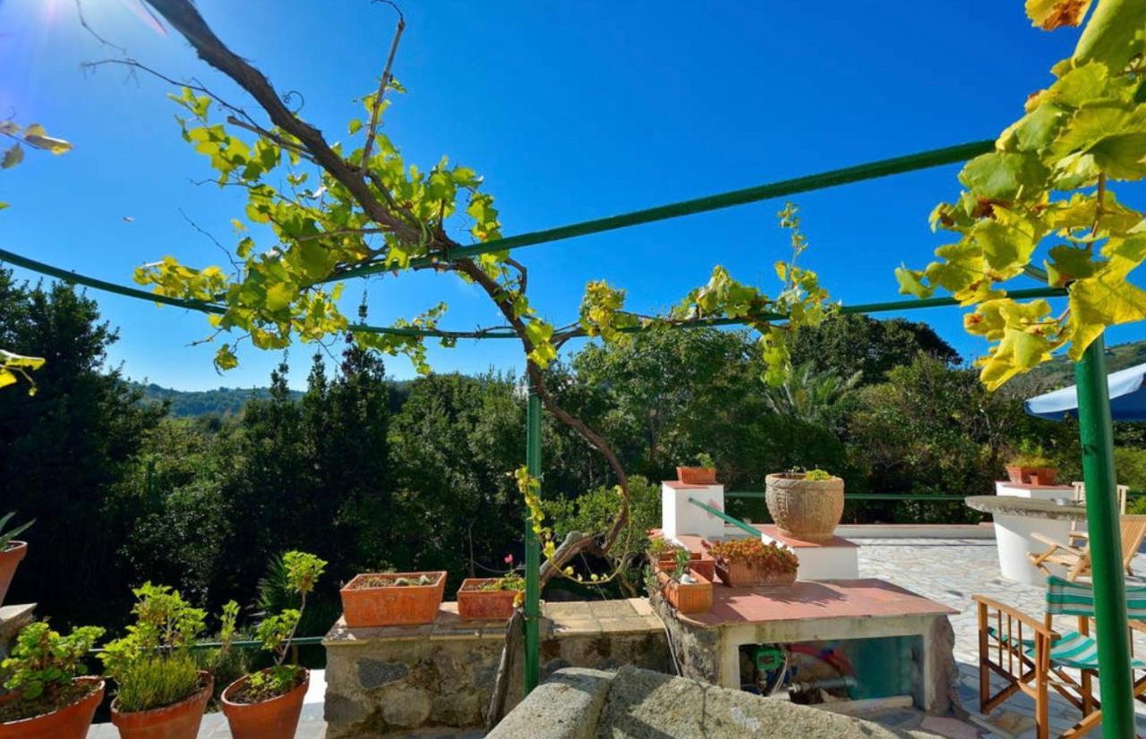Villa Vincenzo Di Meglio 巴拉诺迪斯基亚 外观 照片