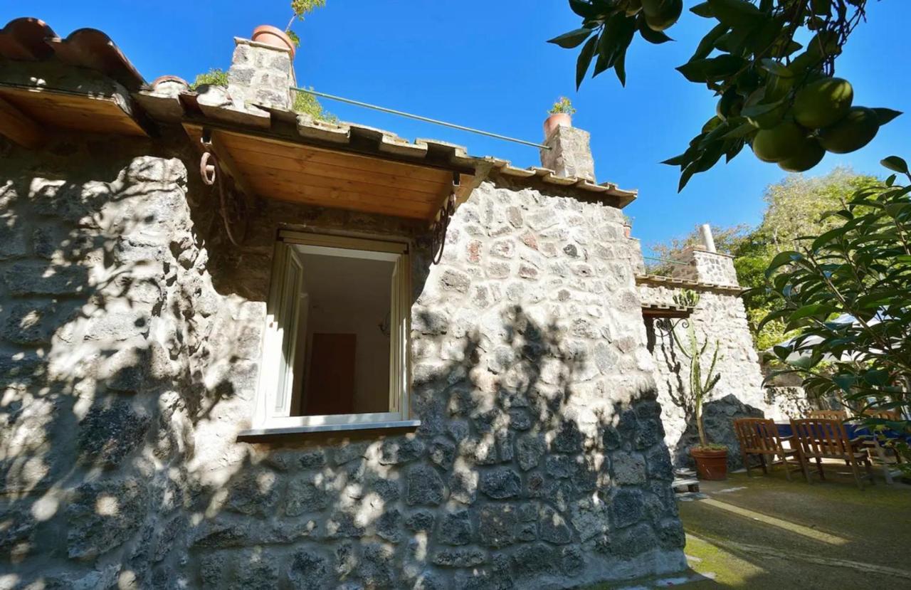 Villa Vincenzo Di Meglio 巴拉诺迪斯基亚 外观 照片