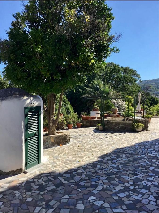Villa Vincenzo Di Meglio 巴拉诺迪斯基亚 外观 照片
