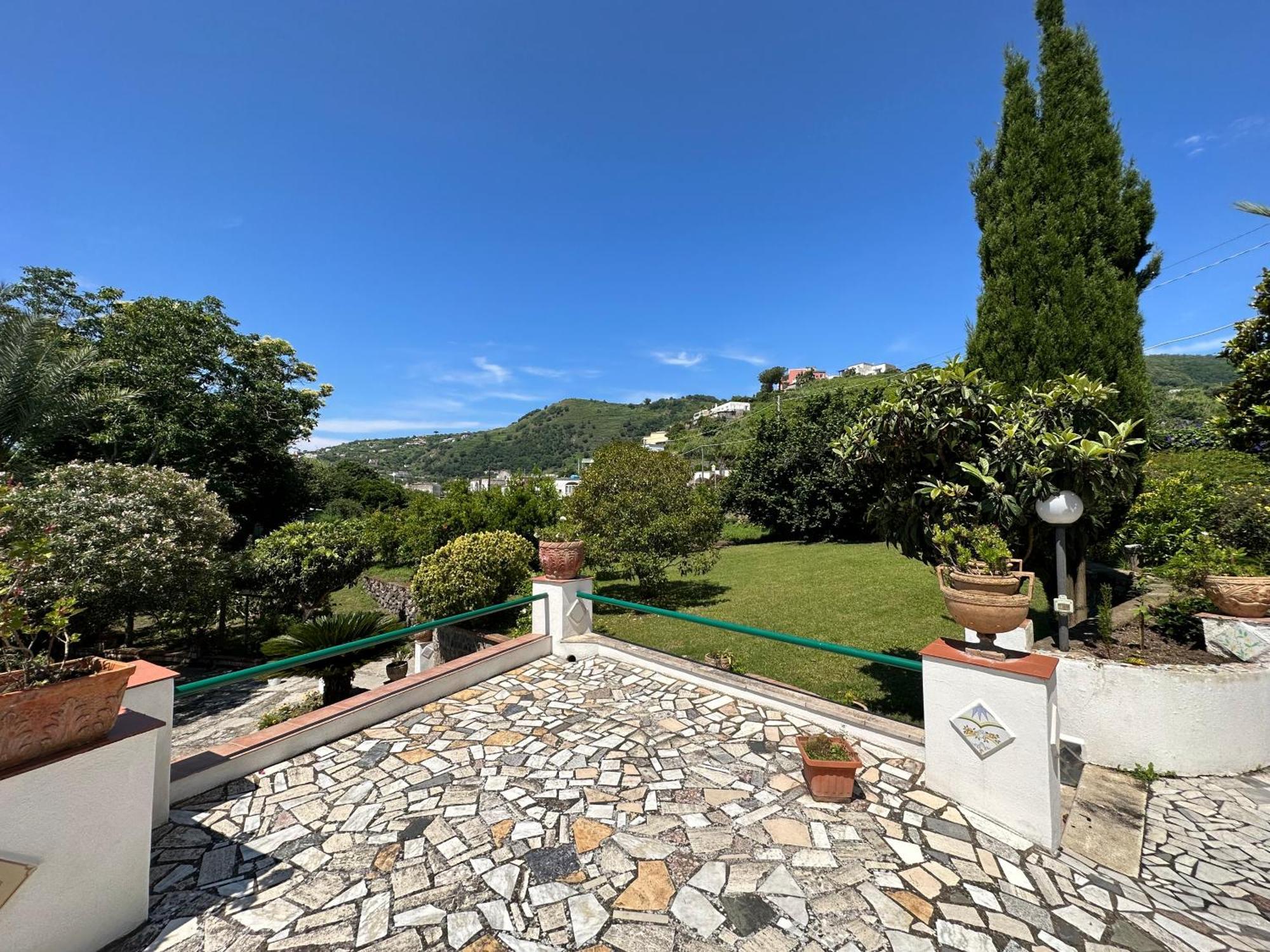 Villa Vincenzo Di Meglio 巴拉诺迪斯基亚 外观 照片