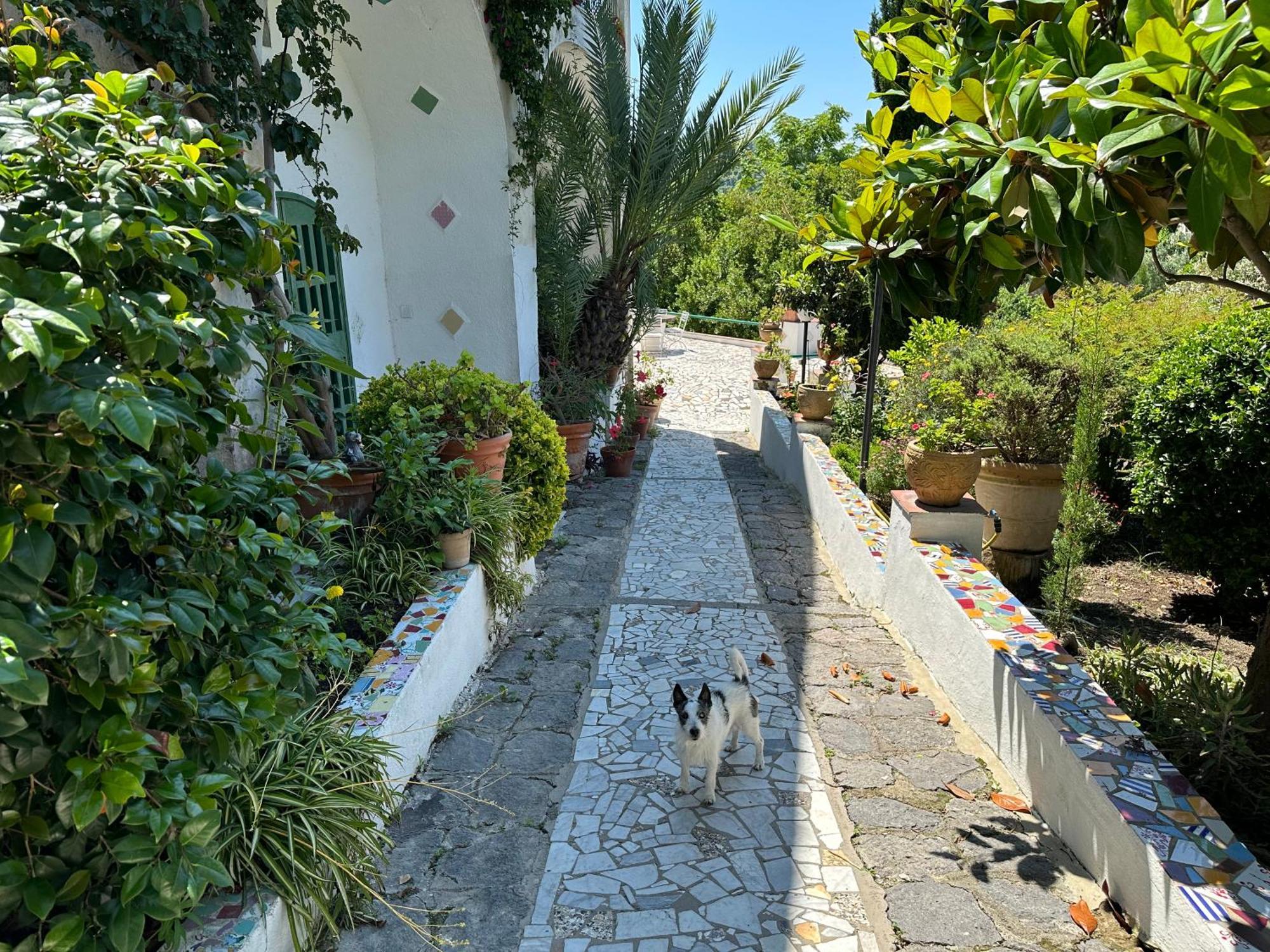 Villa Vincenzo Di Meglio 巴拉诺迪斯基亚 外观 照片