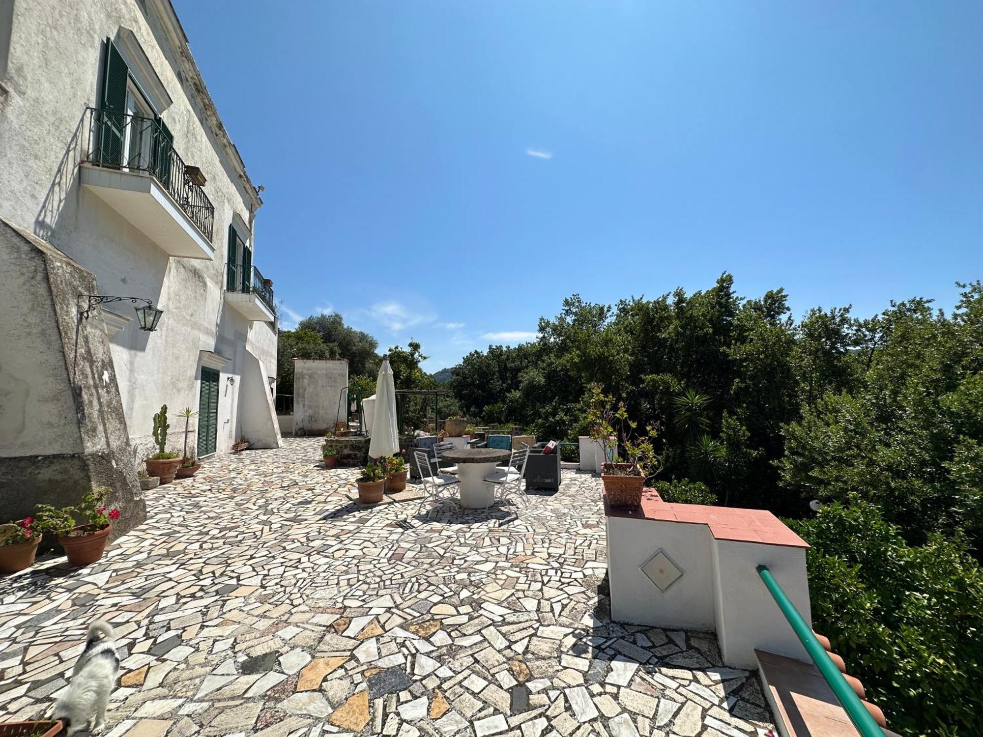 Villa Vincenzo Di Meglio 巴拉诺迪斯基亚 外观 照片