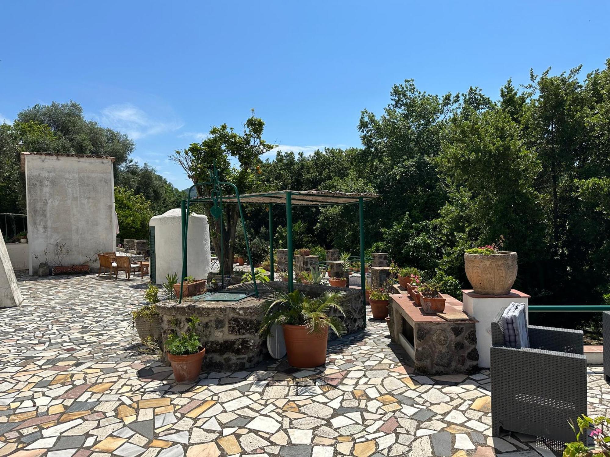 Villa Vincenzo Di Meglio 巴拉诺迪斯基亚 外观 照片