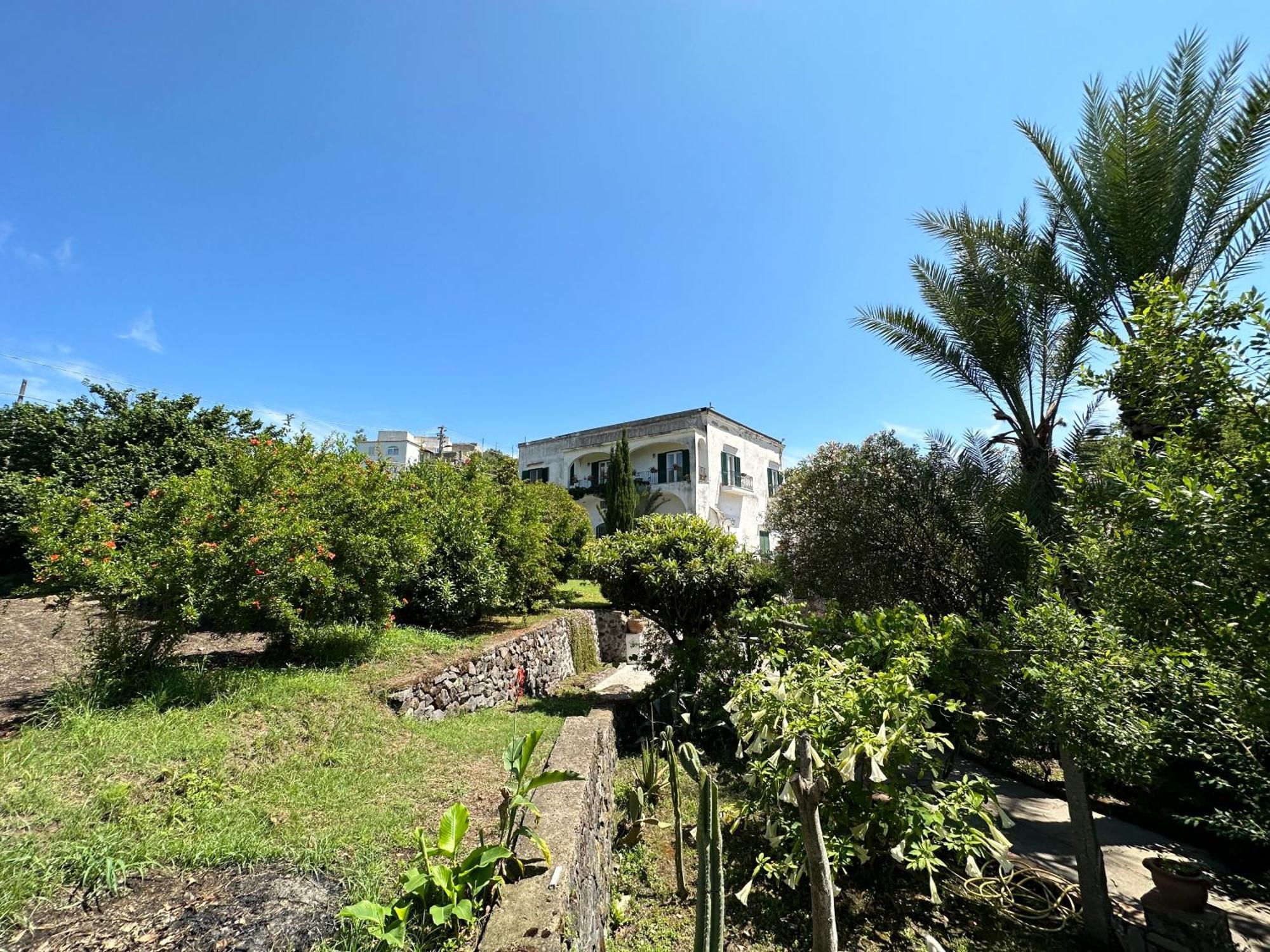 Villa Vincenzo Di Meglio 巴拉诺迪斯基亚 外观 照片