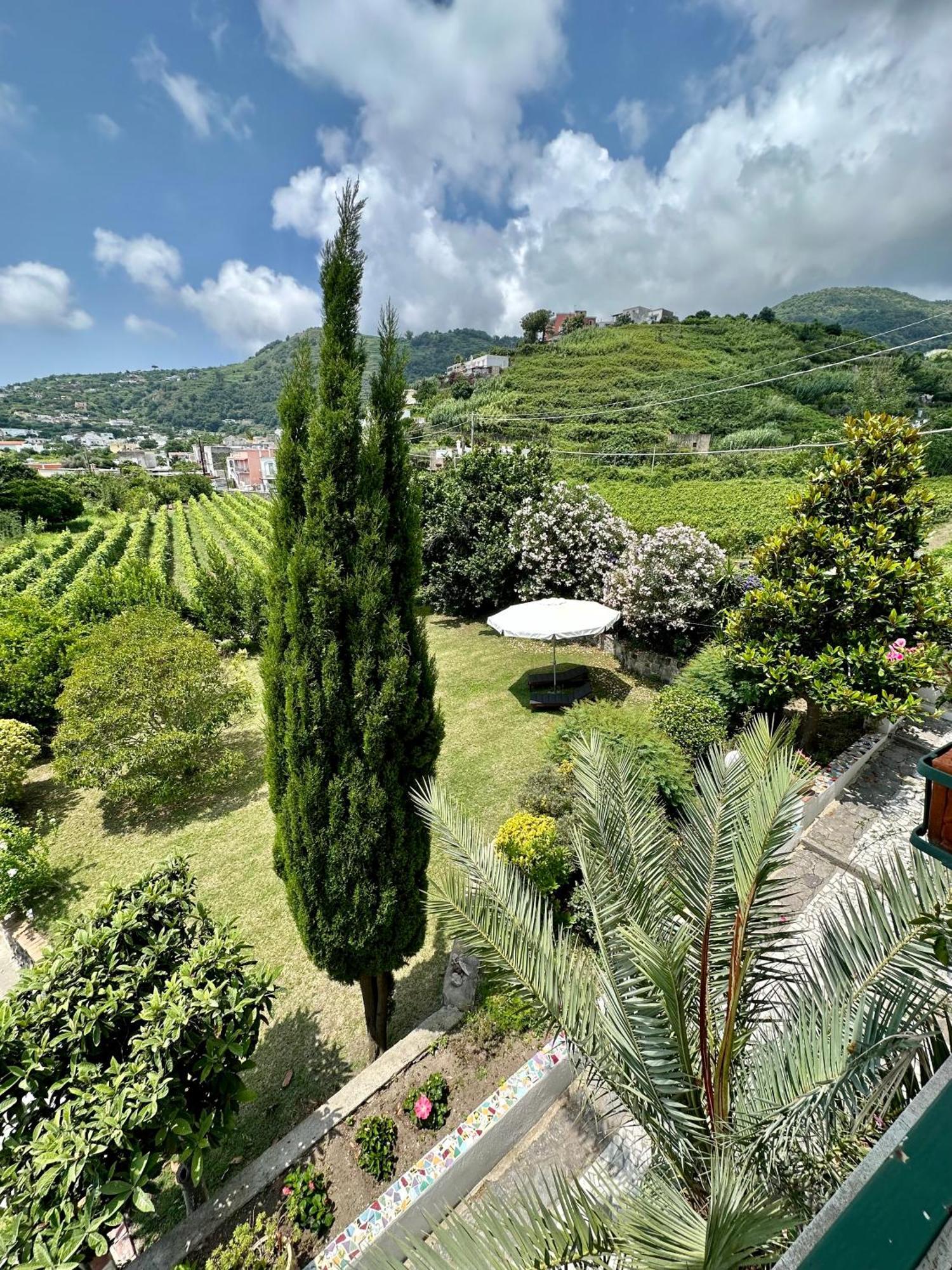 Villa Vincenzo Di Meglio 巴拉诺迪斯基亚 外观 照片