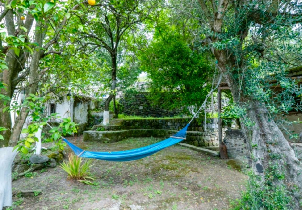 Villa Vincenzo Di Meglio 巴拉诺迪斯基亚 外观 照片
