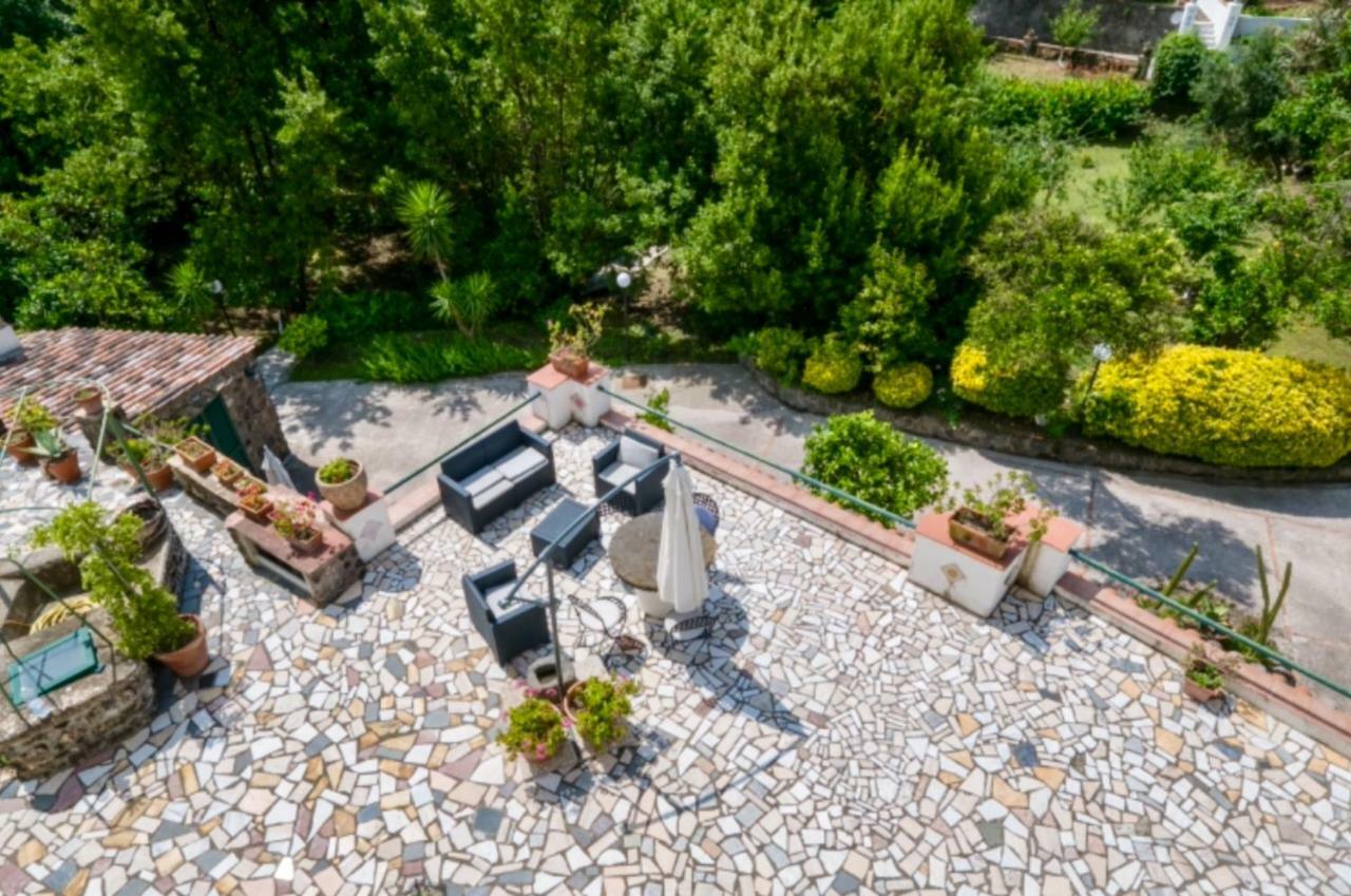 Villa Vincenzo Di Meglio 巴拉诺迪斯基亚 外观 照片
