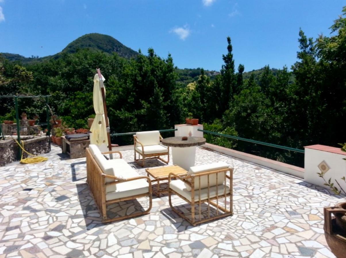 Villa Vincenzo Di Meglio 巴拉诺迪斯基亚 外观 照片