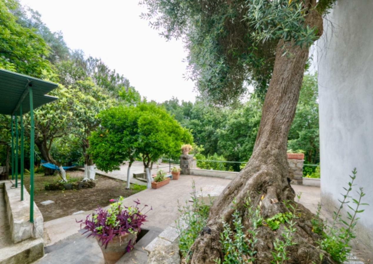 Villa Vincenzo Di Meglio 巴拉诺迪斯基亚 外观 照片