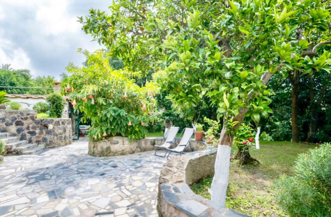 Villa Vincenzo Di Meglio 巴拉诺迪斯基亚 外观 照片
