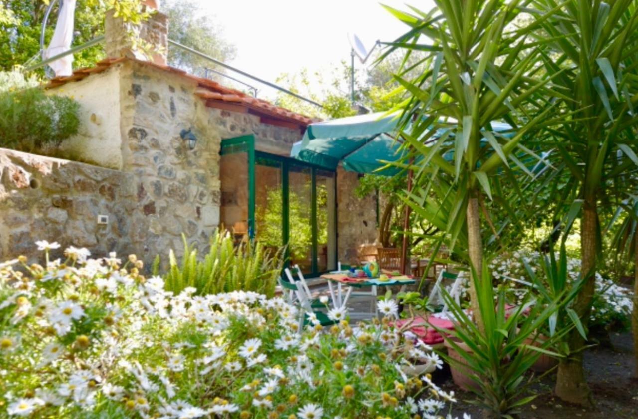 Villa Vincenzo Di Meglio 巴拉诺迪斯基亚 外观 照片