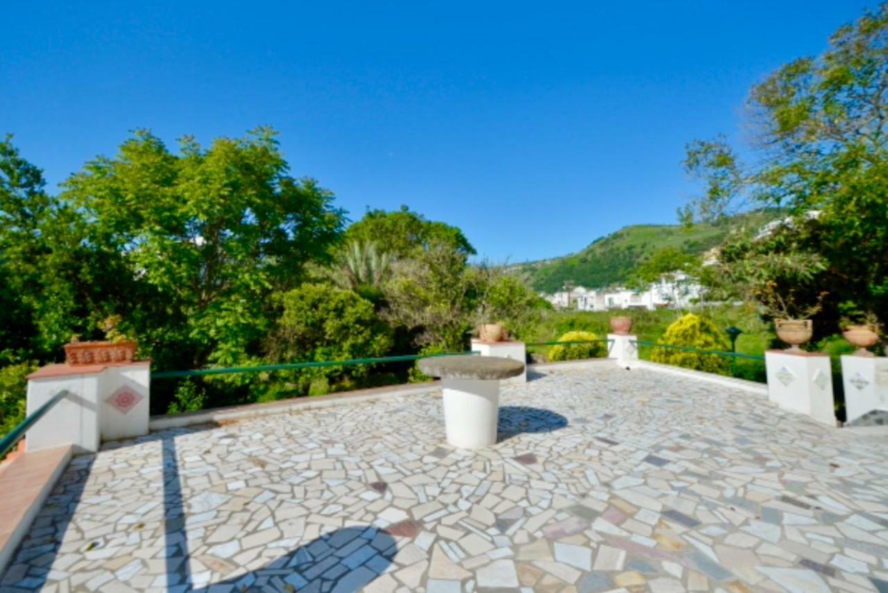 Villa Vincenzo Di Meglio 巴拉诺迪斯基亚 外观 照片
