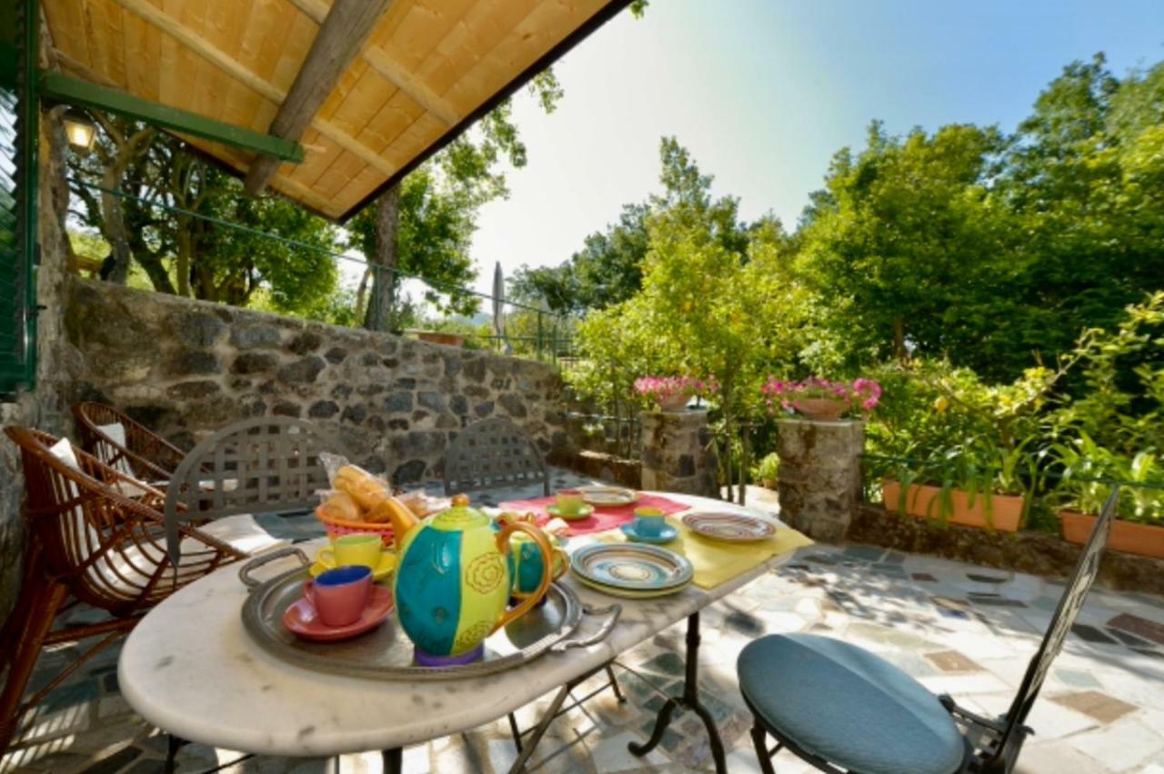 Villa Vincenzo Di Meglio 巴拉诺迪斯基亚 外观 照片