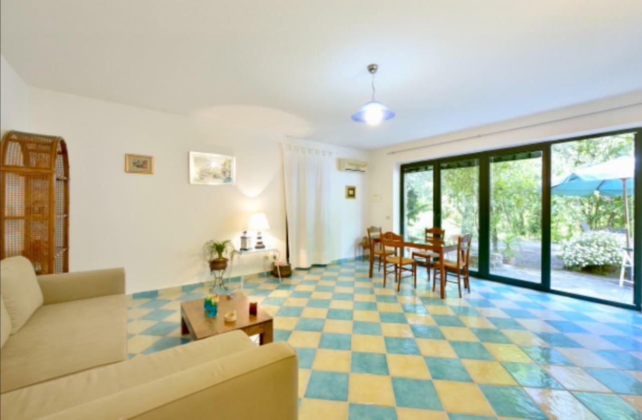 Villa Vincenzo Di Meglio 巴拉诺迪斯基亚 外观 照片