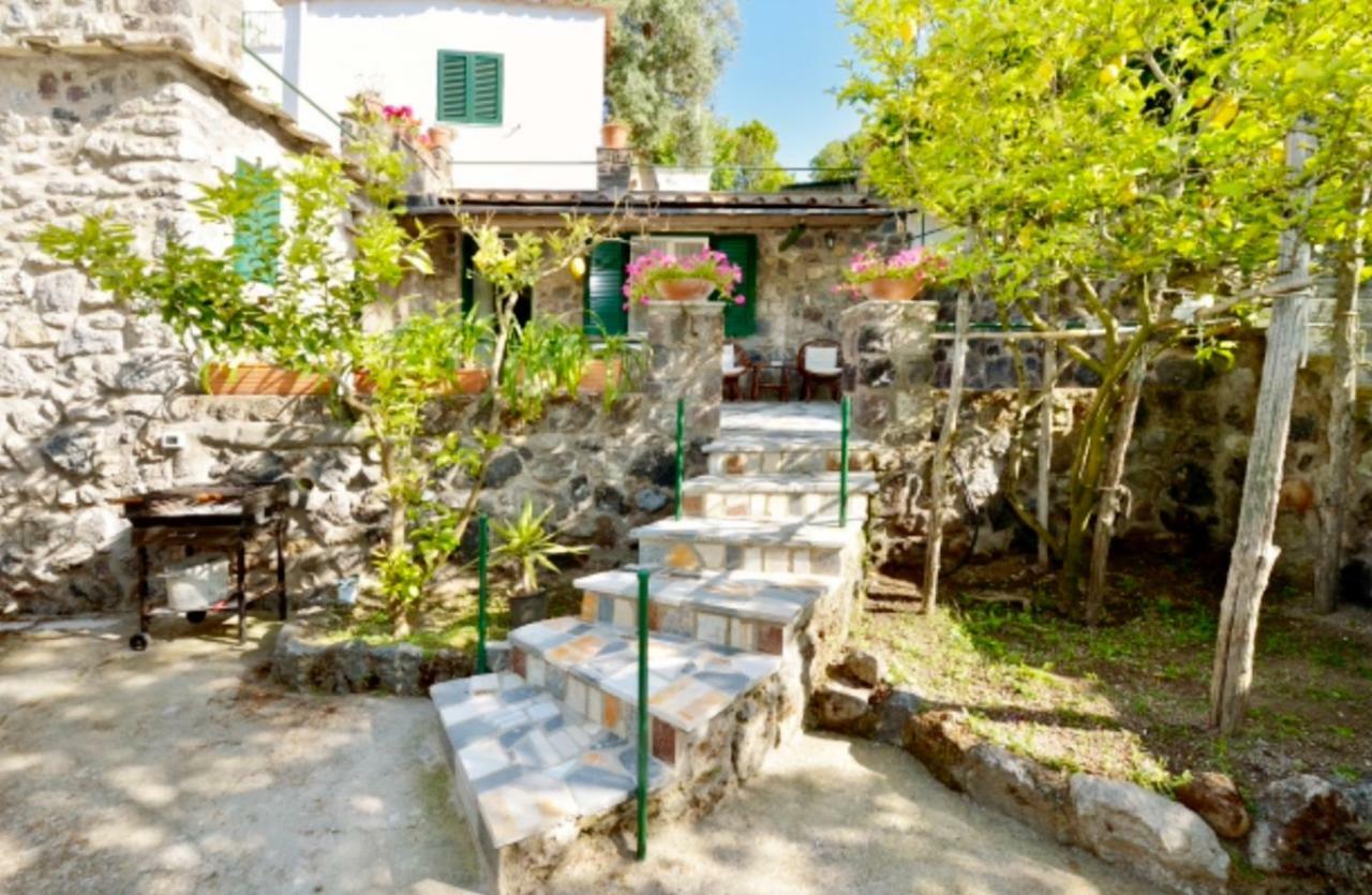Villa Vincenzo Di Meglio 巴拉诺迪斯基亚 客房 照片
